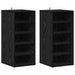 Dulap pentru pantofi cu raft 2 pcs Stejar Negru 32 x 35 x 70 cm - WALTI WALTI