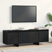 Cabinet TV Stejar Negru 120 x 30 x 40,5 cm Lemn compozit - WALTI WALTI