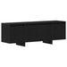 Cabinet TV Stejar Negru 120 x 30 x 40,5 cm Lemn compozit - WALTI WALTI