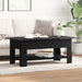 Masă de cafea Stejar Negru 102 x 55 x 42 cm Lemn compozit - WALTI WALTI