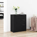 Bufet cu sertar Negru 60 x 30 x 70 cm Lemn compozit - WALTI WALTI