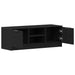Cabinet TV Negru 102 x 35 x 36.5 cm Lemn compozit - WALTI WALTI