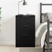 Dulap de noapte Stejar negru 40 x 65 x 65 cm Lemn compozit - WALTI WALTI