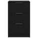 Dulap de noapte Stejar negru 40 x 65 x 65 cm Lemn compozit - WALTI WALTI