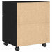 Dulap pentru Fișiere Stejar Negru 45 x 38 x 54 cm Lemn compozit - WALTI WALTI
