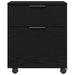 Dulap pentru Fișiere Stejar Negru 45 x 38 x 54 cm Lemn compozit - WALTI WALTI