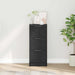 Dulap lateral din stejar negru Stejar negru 30 x 30 x 70 cm - WALTI WALTI