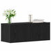 Cabinet TV 2 pcs Stejar Negru 80 x 30 x 30 cm Lemn compozit - WALTI WALTI