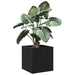 Cutie pentru Vaze Stejar Negru 40 x 38.5 x 40 cm Lemn compozit - WALTI WALTI