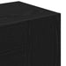 Dulap pentru hol Stejar Negru 97,5 x 37 x 99 cm Lemn compozit - WALTI WALTI