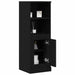Bufet Stejar Negru 36 x 35.5 x 103.5 cm Lemn compozit - WALTI WALTI