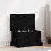 Cutie de depozitare Stejar negru 50 x 30 x 28 cm Lemn compozit - WALTI WALTI