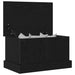 Cutie de depozitare Stejar negru 50 x 30 x 28 cm Lemn compozit - WALTI WALTI