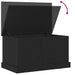 Cutie de depozitare Stejar negru 70 x 40 x 28 cm Lemn compozit - WALTI WALTI