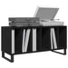 Dulap pentru discuri de vinil Stejar Negru 100 x 38 x 48 cm - WALTI WALTI