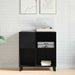 Dulap pentru discuri de vinil Stejar Negru 85 x 38 x 89 cm - WALTI WALTI