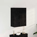 Cabinet suspendat Stejar negru 69.5 x 34 x 90 cm Lemn compozit - WALTI WALTI