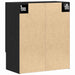 Dulap de perete Stejar negru 60 x 31 x 70 cm Lemn compozit - WALTI WALTI
