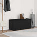 Bancă de depozitare Stejar negru 102 x 42 x 45 cm Lemn compozit - WALTI WALTI