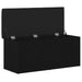 Bancă de depozitare Stejar negru 102 x 42 x 45 cm Lemn compozit - WALTI WALTI