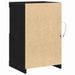 Bufet LED Stejar Negru 41 x 37 x 67 cm Lemn compozit - WALTI WALTI