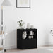 Bufet LED Negru 60,5 x 37 x 67 cm Lemn compozit - WALTI WALTI