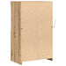 Bufet LED Maro 60 x 37 x 100 cm Lemn compozit - WALTI WALTI