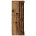 Bufet LED Lemn vechi 60,5 x 37 x 100 cm Lemn compozit - WALTI WALTI