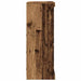 Bufet LED Lemn vechi 41 x 37 x 100 cm Lemn compozit - WALTI WALTI