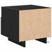 Dulap de noapte cu sertar 2 pcs Stejar Negru 40 x 39 x 37 cm - WALTI WALTI