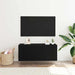 Set comodă TV Stejar Negru 100 x 30 x 41 cm Lemn compozit - WALTI WALTI