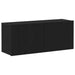 Set comodă TV Stejar Negru 100 x 30 x 41 cm Lemn compozit - WALTI WALTI