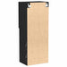 Set comodă TV Stejar Negru 40,5 x 30 x 102 cm Lemn compozit - WALTI WALTI
