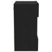 Cabinet TV 2 pcs Negru 40 x 30 x 60.5 cm Lemn compozit - WALTI WALTI