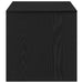 Dulap TV Stejar Negru 100x40x40 cm Lemn prelucrat - WALTI WALTI