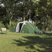 Cort cu acoperiș Verde și Negru 510 x 240 x 156 cm Poliester - WALTI WALTI