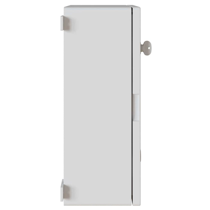 Cabinet de Control Gri 35 x 19.5 x 50 cm Plastic ABS - WALTI WALTI