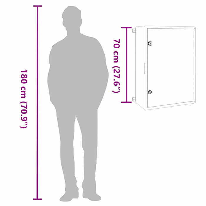Cabinet de Control Gri 50 x 24.5 x 70 cm Plastic ABS - WALTI WALTI