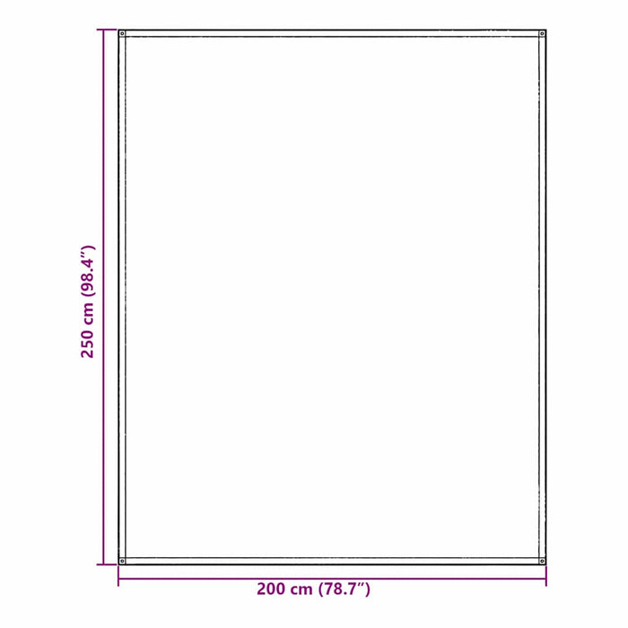 Covoare pentru Cort Manual Gri deschis 200 x 250 cm Polietilenă - WALTI WALTI