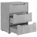 Bufetă „VISNES” Gri beton 60x40x73 cm Lemn prelucrat - WALTI WALTI