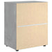 Bufetă „VISNES” Gri beton 60x40x73 cm Lemn prelucrat - WALTI WALTI