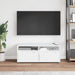 Dulap TV "VISNES" alb 100x40x38 cm lemn de prelucrare - WALTI WALTI