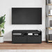Dulap TV „VISNES” Negru 100x40x38 cm lemn prelucrat - WALTI WALTI