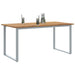 Masă de grădină pentru dining Gri 160 x 80 x 75 cm - WALTI WALTI