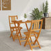 Set bistro 3 pcs Ulei Natural Lemn Solid de Acacia - WALTI WALTI