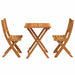 Set bistro 3 pcs Ulei Natural Lemn Solid de Acacia - WALTI WALTI