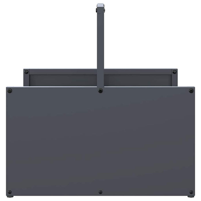 Suport pentru lemne de foc Antracit Oțel laminat la rece - WALTI WALTI