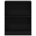Dulap pentru Cărți Negru 60 x 24 x 76 cm Lemn compozit - WALTI WALTI