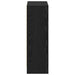 Dulap pentru Cărți Negru 60 x 24 x 76 cm Lemn compozit - WALTI WALTI