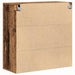 Dulap de perete cu ușă Lemn vechi 80 x 33 x 80 cm Lemn compozit - WALTI WALTI